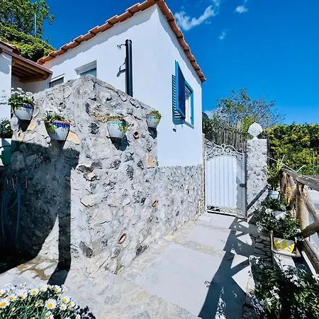 Yourhome - White House Gio *